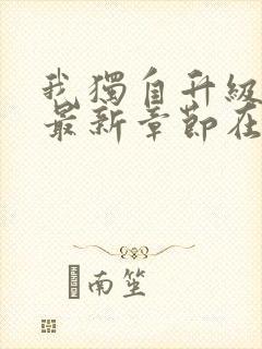 我独自升级小说最新章节在线阅读