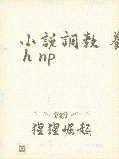 小说调教 养成 h np