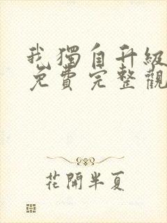 我独自升级动漫免费完整观看