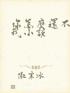 你怎么还不喜欢我小说