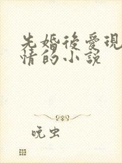 先婚后爱现代言情的小说