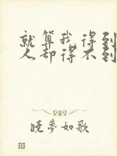 就算我得到你的人却得不到你的心