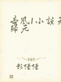 帝凰1小说天下归元