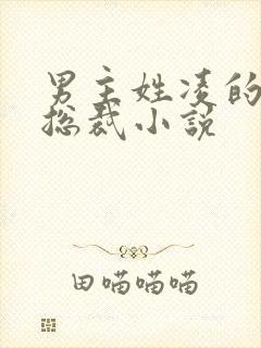 男主姓凌的霸道总裁小说