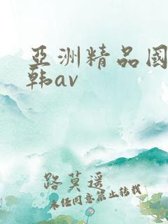 亚洲精品国产日韩av