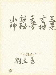 小说天才三宝:神秘爹地是大佬