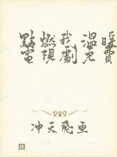 点燃我温暖你的电视剧免费观看全集