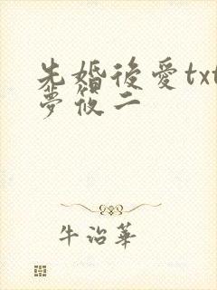 先婚后爱txt梦筱二