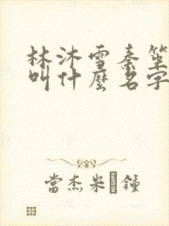 林沐雪秦笙小说叫什么名字