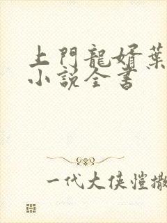 上门龙婿叶辰的小说全书