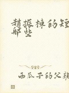 赵振栋的短剧有哪些