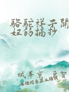 骆驼祥子关于虎妞的摘抄