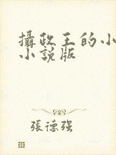 摄政王的小闲妻小说版