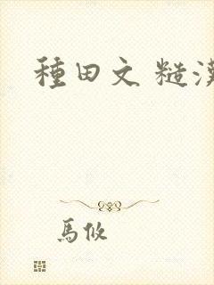 种田文 糙汉