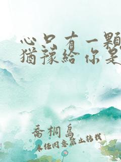 心只有一颗毫不犹豫给你是什么歌