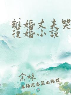 离婚丈夫哭着求复婚小说