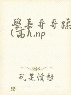 学长哥哥蹂躏你(高h,np