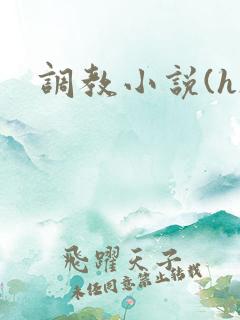 调教小说(h)