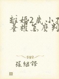 离婚2岁小孩抚养权怎么判定