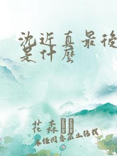 沈近真最后结局是什么