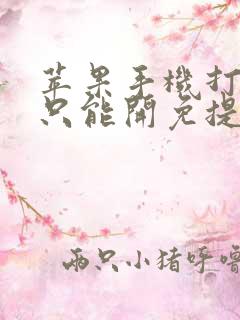 苹果手机打电话只能开免提才有声音