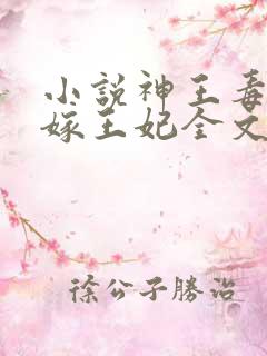 小说神王毒宠二嫁王妃全文