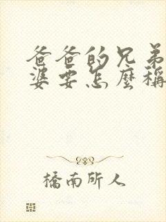 爸爸的兄弟的老婆要怎么称呼