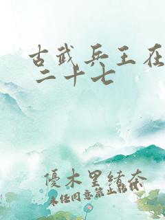 古武兵王在都市 二十七