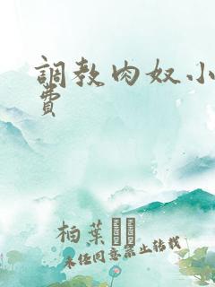 调教肉奴小说免费