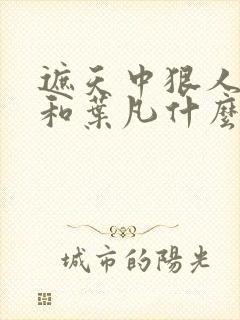 遮天中狠人大帝和叶凡什么关系