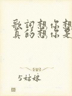 歌词想你想你我真的想你是啥歌名