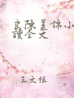 良陈美锦小说阅读全文