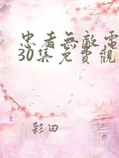 忠者无敌电视剧30集免费观看高清