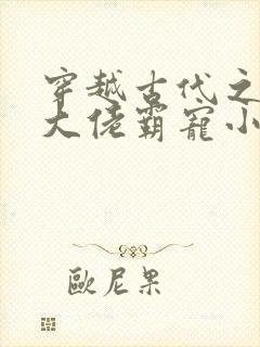 穿越古代之末世大佬霸宠小夫郎