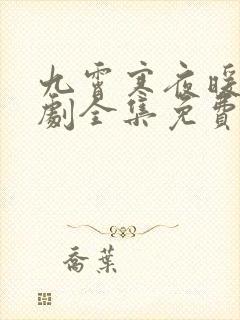 九霄寒夜暖电视剧全集免费观看