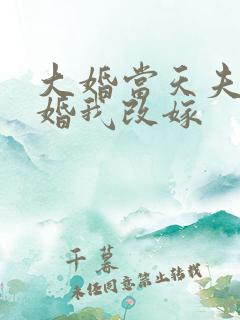 大婚当天夫君逃婚我改嫁