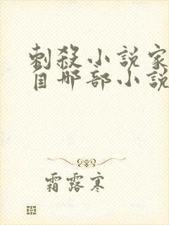 刺杀小说家改编自哪部小说