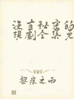 没有秘密的你电视剧全集免费观看