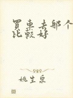 买车去那个网站比较好