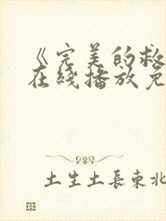 《完美的救赎》在线播放免费