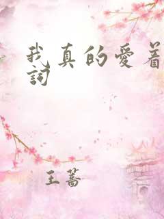 我真的爱着你歌词