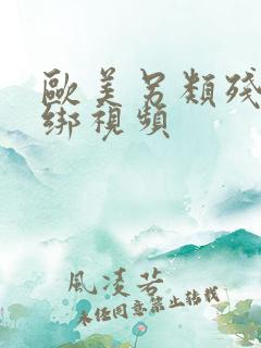 欧美另类残忍捆绑视频