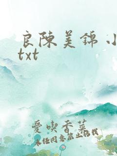 良陈美锦 小说txt
