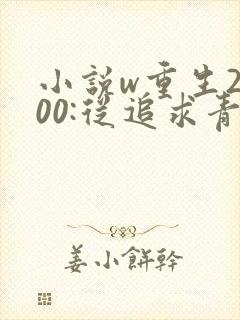 小说w重生2000:从追求青涩校花同桌开始》