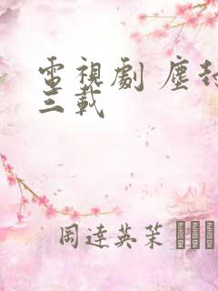 电视剧 尘封十三载