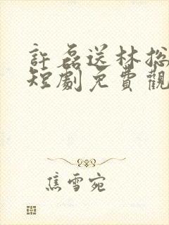 许磊送林总回家短剧免费观看