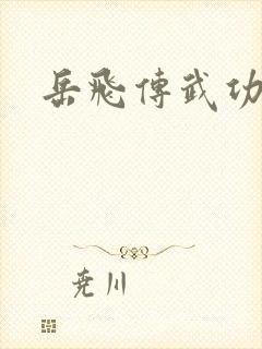 岳飞传武功排名