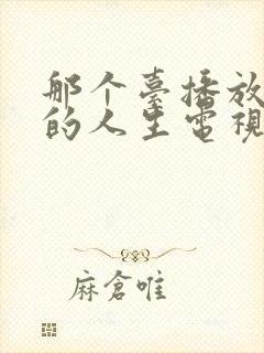 那个台播放蛮好的人生电视剧