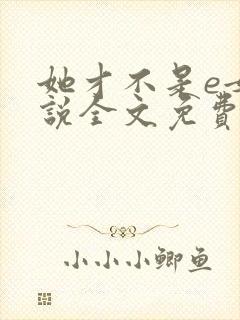 她才不是e女小说全文免费阅读