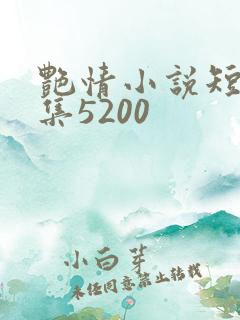 艳情小说短篇合集5200